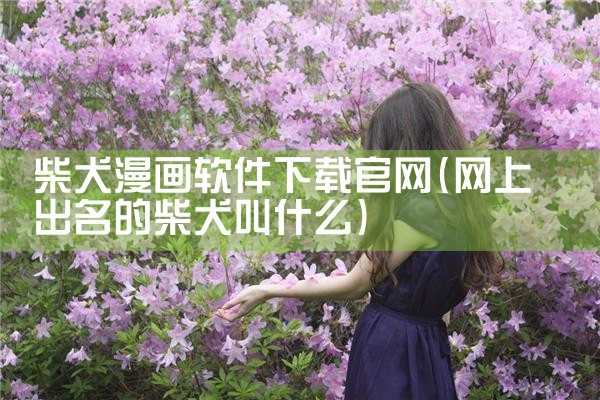 打牌平台链接下载软件