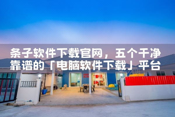 条子软件下载官网