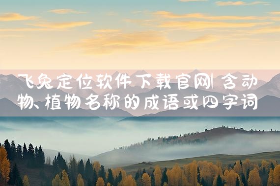飞兔定位软件下载官网