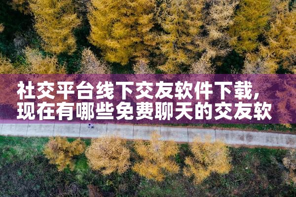 社交平台线下交友软件下载
