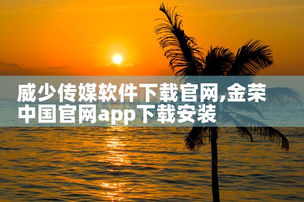 威少传媒软件下载官网
