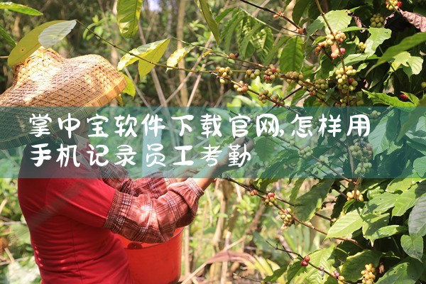 掌中宝软件下载官网