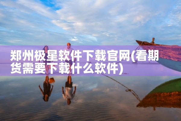 郑州极星软件下载官网