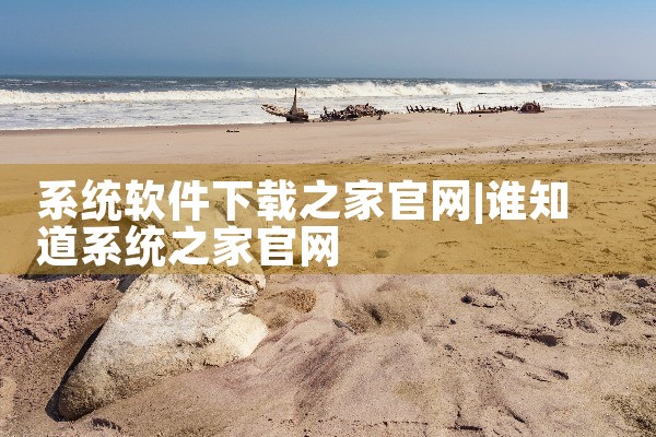 系统软件下载之家官网