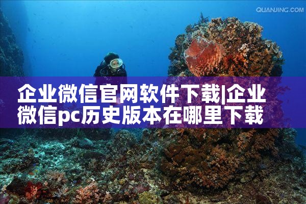 企业微信官网软件下载
